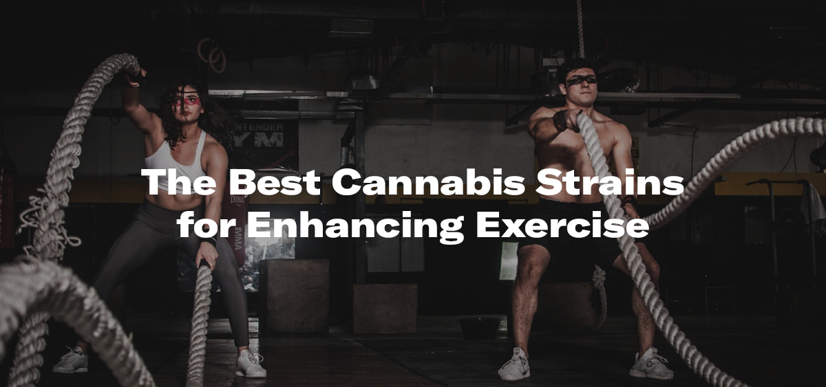 Read more about the article The Best Cannabis Strains for Enhancing Exercise